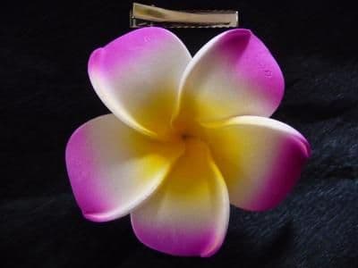 Pince cheveux frangipanier * Kauai mauve