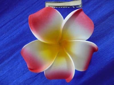 Pince cheveux frangipanier * Kauai rouge