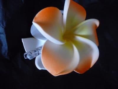 Pince crabe cheveux frangipanier * orange