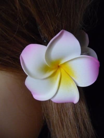 Pince crabe cheveux frangipanier * rose