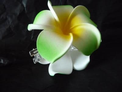 Pince crabe cheveux frangipanier * vert