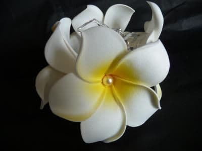 Pince crabe duo * Kauai blanc