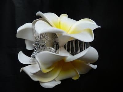 Pince crabe duo * Kauai blanc