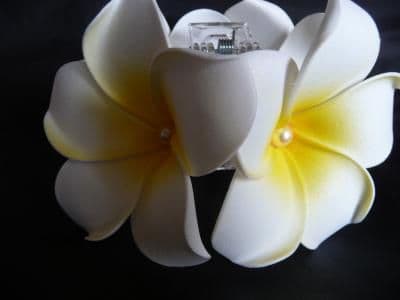 Pince crabe duo * Kauai blanc