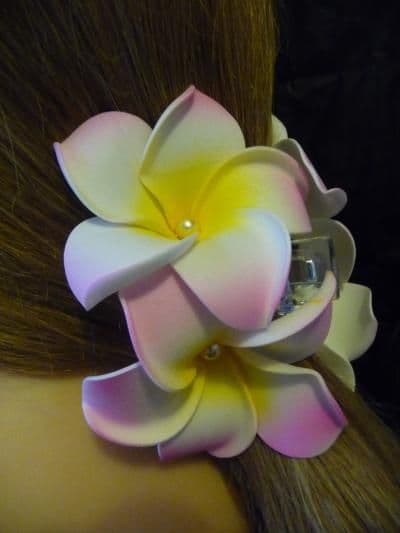 Pince crabe duo * Kauai rose