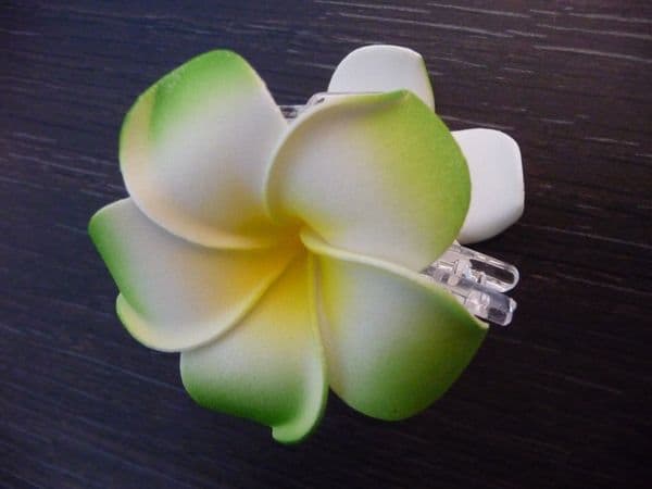 Pince crabe * frangipanier 6cm/vert