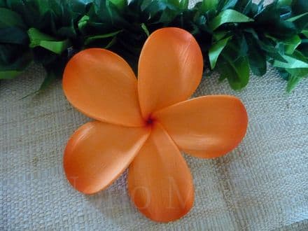Pince fleur alofi * orange