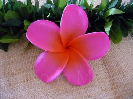 Pince fleur alofi * rose