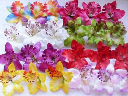 Tête orchidée couleurs mixtes (x30)