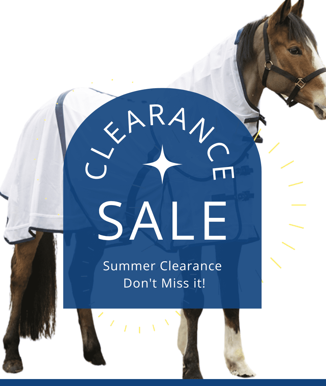 New arrivals in our clearance section: Quality kit at even better prices