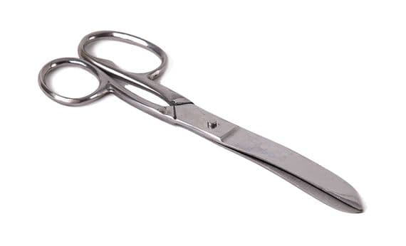 Blue Lizard Equestrian|Curved Scissors