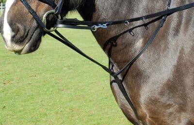 English Leather Market Harborough with reins
