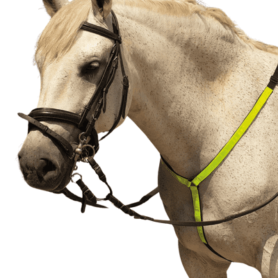 Harlequin Reflective Martingale