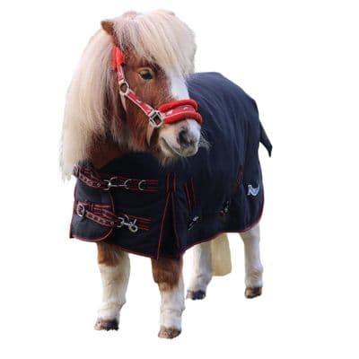 Heavyweight - Rhinegold Mini Thor Outdoor Rug