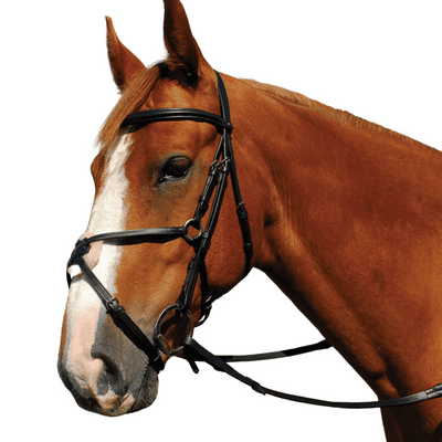 Heritage English Leather Bridle With Mexican Noseband