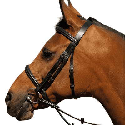 Heritage English Leather Bridle With Raised Cavesson Noseband