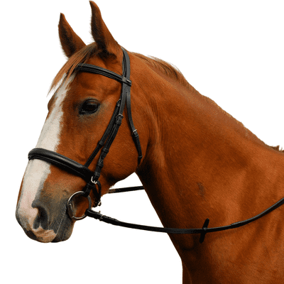 Heritage English Leather ‘Comfort’ Bridle With Cavesson Noseband