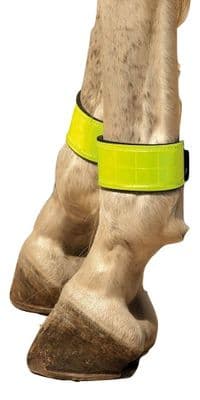 High Visibility Leg Bands