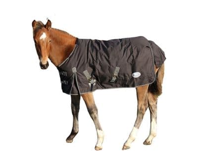 Medium Weight - Foal or Small Pony Konig Outdoor Rug