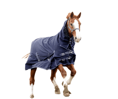 Mid Season (Medium/Light Fill) Arizona Outdoor Rug - Full neck