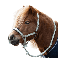 Mini Sorbet Padded Headcollar And Rope Set
