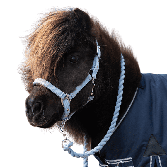 Mini Sorbet Padded Headcollar And Rope Set