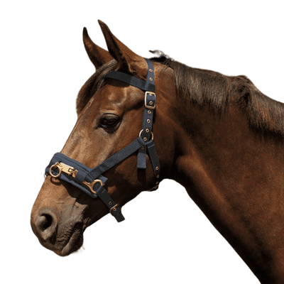 Nylon Lunge Cavesson