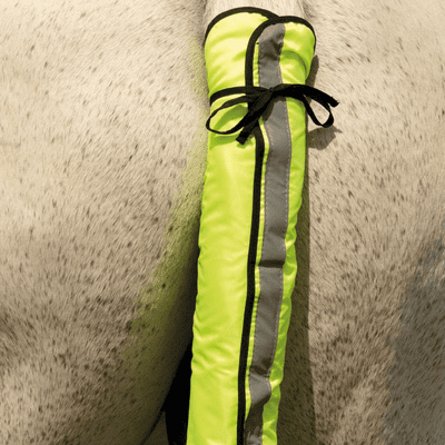 Reflective Tail Guard