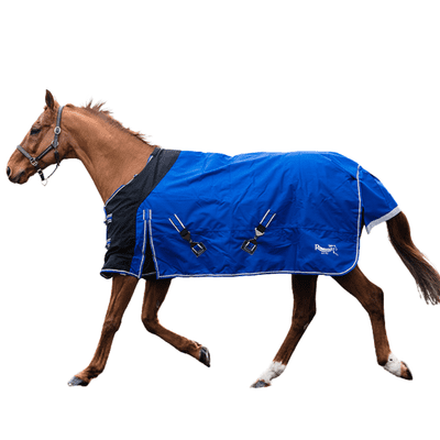 Rhinegold Elite Storm Outdoor Rug With Waterproof Stretch Chest Panel