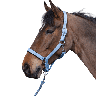 Rhinegold Sorbet Headcollar and Leadrope Set