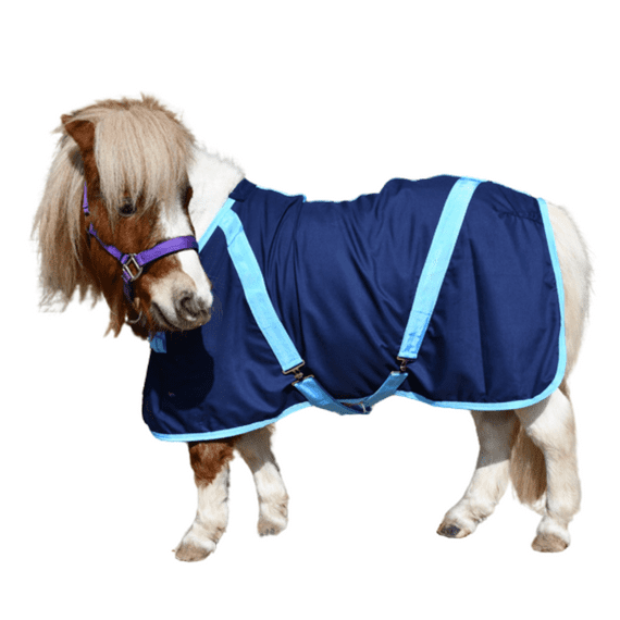 Blue Lizard Equestrian: Summer Sheet for Mini Ponies
