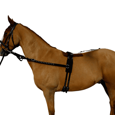 Training and Breaking Set