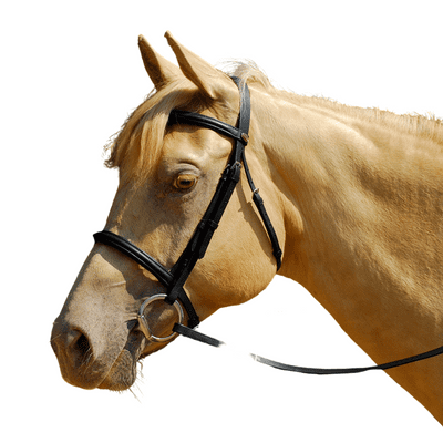 Windsor Leather Bridle With Cavesson Noseband