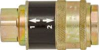PCL 'Safeflow' Couplings 1/4 BSP Female