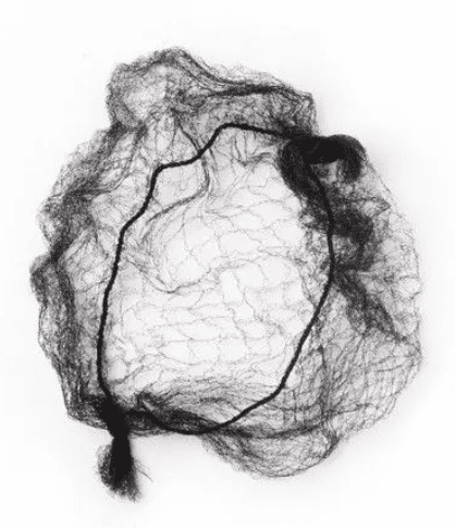 Bun Nets Black
