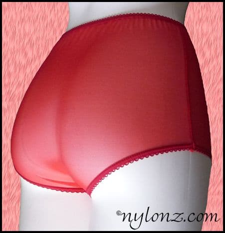 Vue See Thru Pin Up Panties