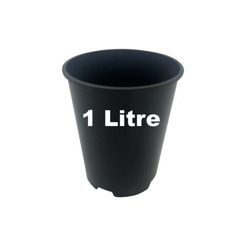 1 Litre Deep Rose Pot – Heavy-Duty Injection-Moulded Plastic with Dual Drainage