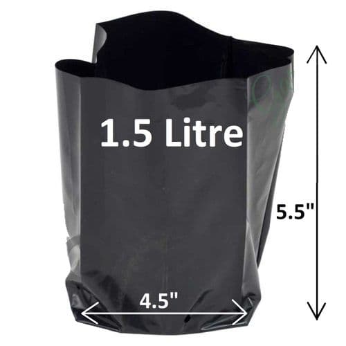 1.5 Litre Poly Pot – Strong, Recyclable Polythene Grow Pot with Pre-Cut Drainage