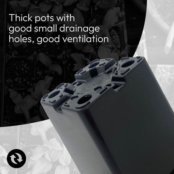 10 cm Square Plant Pots – Strong Black Seedling & Propagation Containers