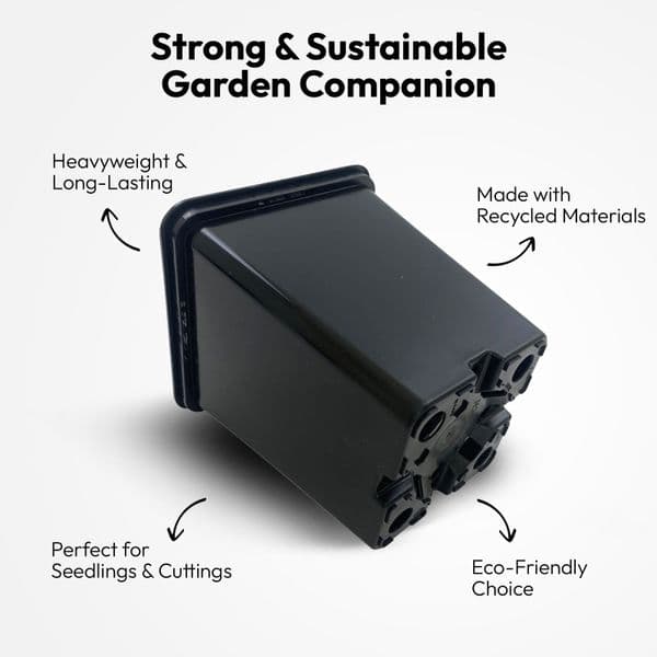 10 cm Square Plant Pots – Strong Black Seedling & Propagation Containers