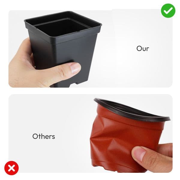 10 cm Square Plant Pots – Strong Black Seedling & Propagation Containers