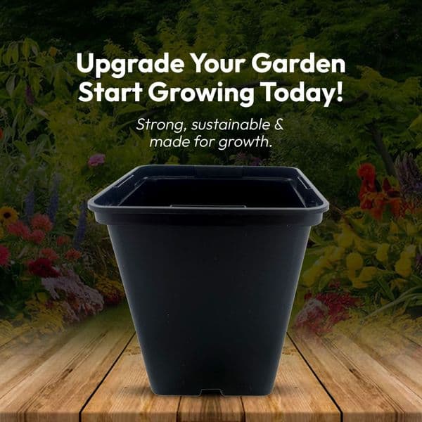 10 cm Square Plant Pots – Strong Black Seedling & Propagation Containers