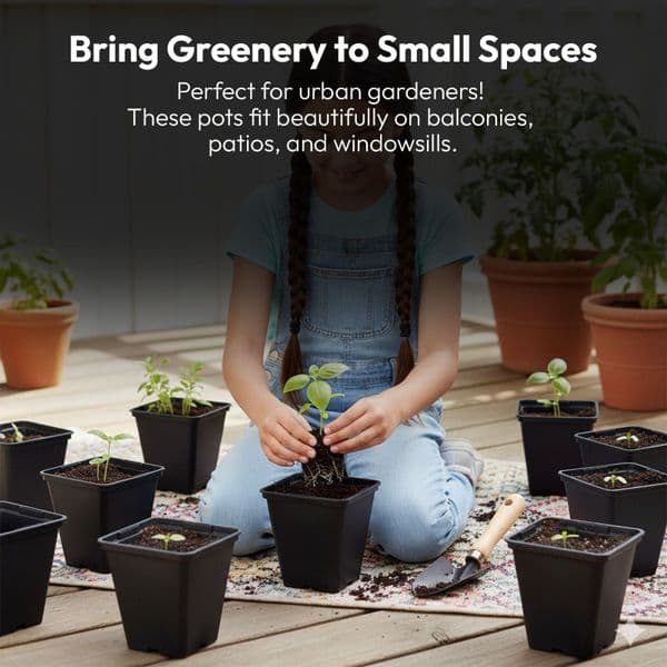 10 cm Square Plant Pots – Strong Black Seedling & Propagation Containers