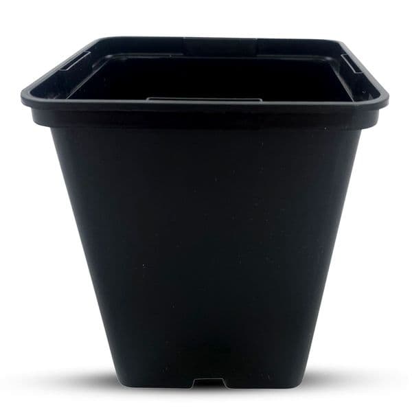 10 cm Square Plant Pots – Strong Black Seedling & Propagation Containers