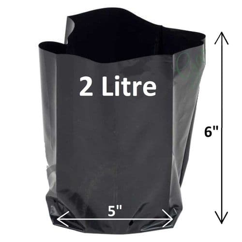 2 Litre Poly Pot – Strong, Recyclable Polythene Grow Container with Pre-Cut Drainage