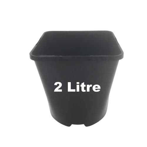 2 Litre Square Plant Pots – Durable Black Containers for Larger Plants