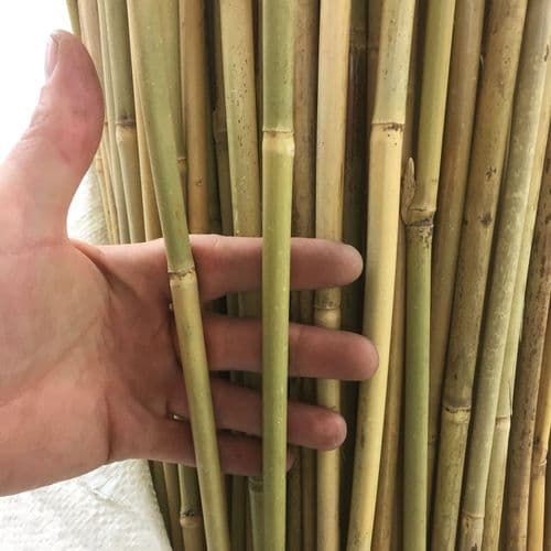 3-Foot Bamboo Canes (12–14 mm) – Strong Natural Plant Stakes for Vigorous Growth