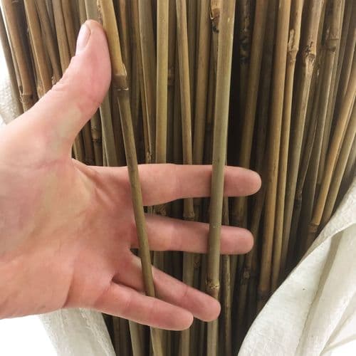 3-Foot Bamboo Canes (8–10 mm) – Strong Natural Supports for Plants & Climbing Vines