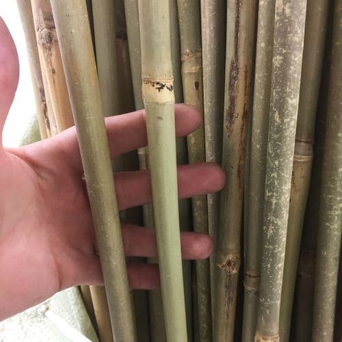 3-Foot Thick Bamboo Canes (14-16 mm) – Heavy Duty Natural Supports for Large Plants