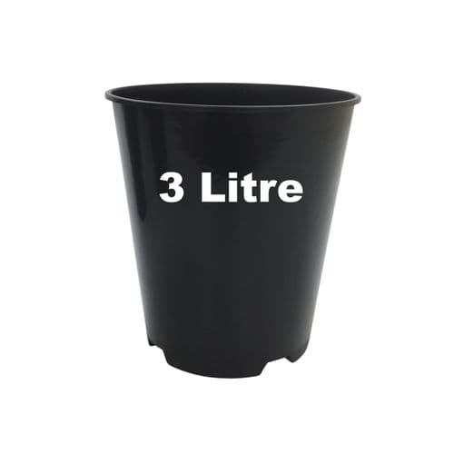3 Litre Deep Rose Pot – Heavy-Duty Injection-Moulded Plastic with Dual Drainage